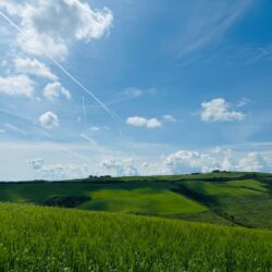 ©Podere Minuccio